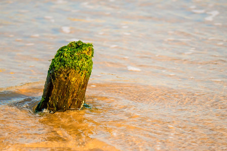 old groin in the Baltic Sea 