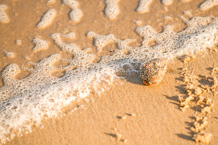 sandy beach with spray of the surf
