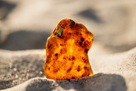 Amber on a beach of the Baltic Sea
の写真素材