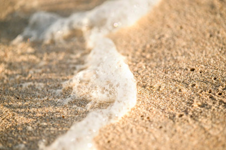 Foam bubbles of the surf