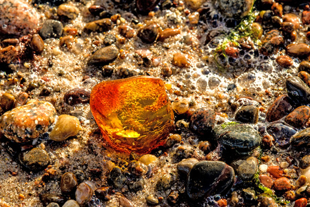 Amber on a beach of the Baltic Sea
の写真素材