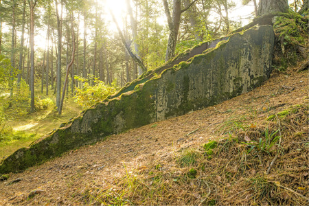 Bunker of ww2 in Polandの写真素材