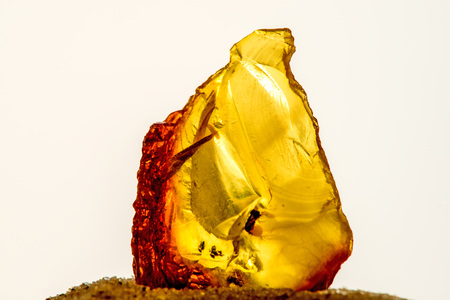 Amber in sun on a beach of the Baltic seaの写真素材