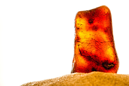 Amber in sun on a beach of the Baltic sea
の写真素材