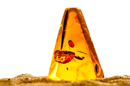 Amber in sun with inclusions
の写真素材