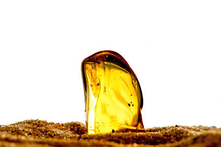 Amber in sun on a beach of the Baltic seaの写真素材