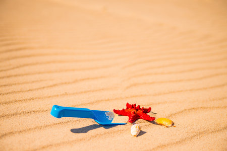 toys on sunny beach