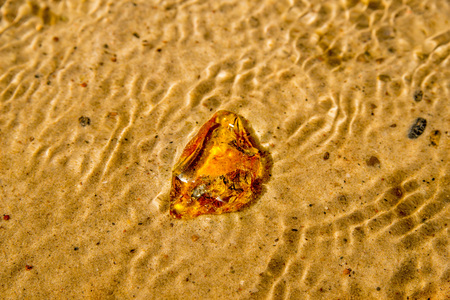 Amber on a beach of the Baltic Sea
の写真素材