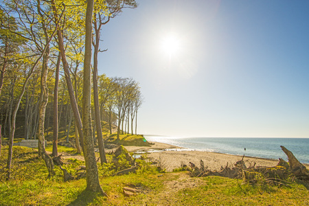 beach of the Baltic Sea in Orzechowo, Polandの写真素材