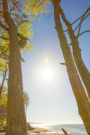 beach of the Baltic Sea in Orzechowo, Polandの写真素材