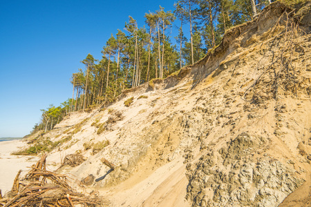 Baltic Sea in Poland with pines and dunesの写真素材