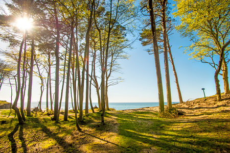 beach of the Baltic Sea in Orzechowo, Poland