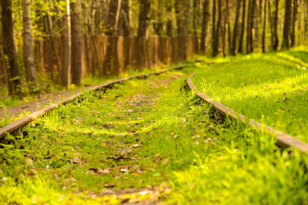 rails out of order overgrown with grassの写真素材