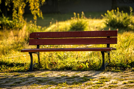 park bench in autumnal sunの写真素材