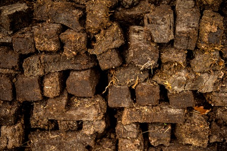 peat, closeup of a stockの写真素材