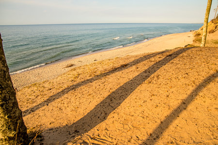 beach of the Baltic Sea with trees and shadowsの写真素材