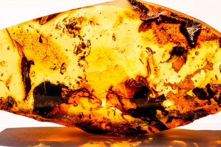 Amber in sun with inclusions