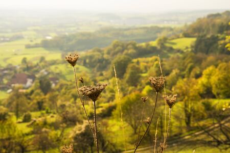 Panoramic view to the south of Germany の写真素材