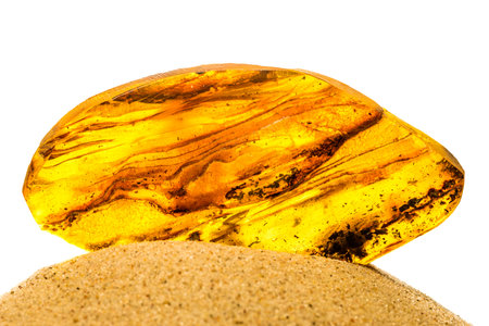 Amber in sun with inclusions