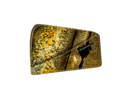 picture jasper gemstone cut out on white backgroundの写真素材