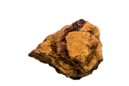 Siderite cut out on a white backgroundの写真素材