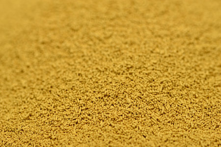 dry yeast in a macroの写真素材