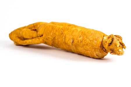 ginseng root on a white backgroundの写真素材