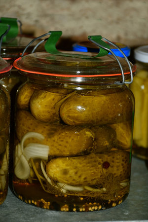 pickled cucumbers in a German cellar in autumnの写真素材