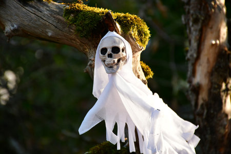 Halloween ghost skull decorated in a gardenの写真素材