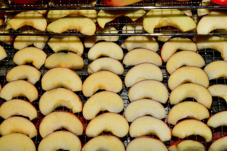 apple rings cut for a dehydratorの写真素材