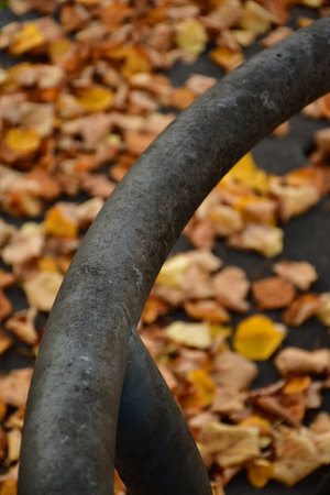 autumnal colored leaves on a streetの写真素材
