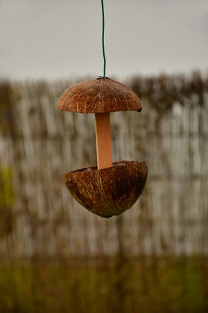 bird feeder house made of half coconut shellsの写真素材
