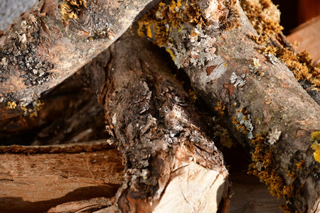firewood, stack in a closeupの写真素材