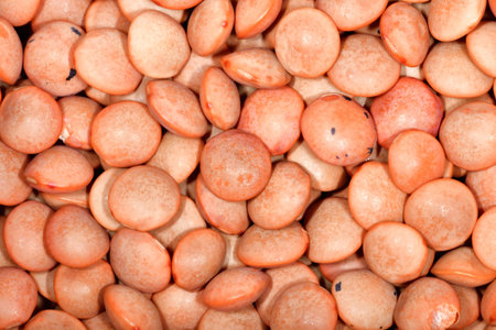 Red lentils in a macro viewの写真素材