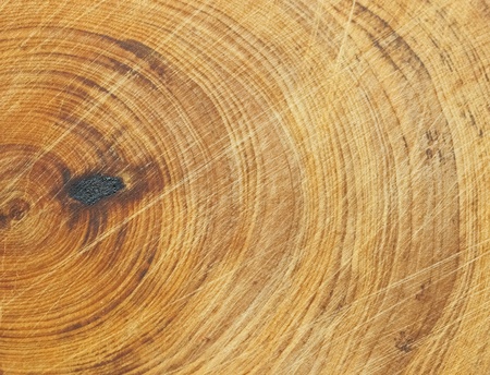 close-up wooden cut texture の写真素材