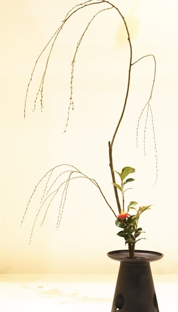 japanese art of flower arrangementの写真素材