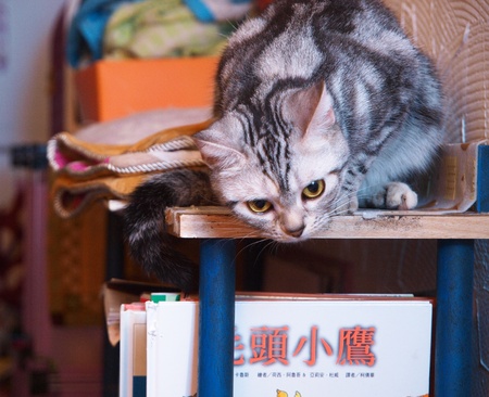 lookの写真素材