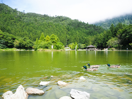 lake in mountainの写真素材