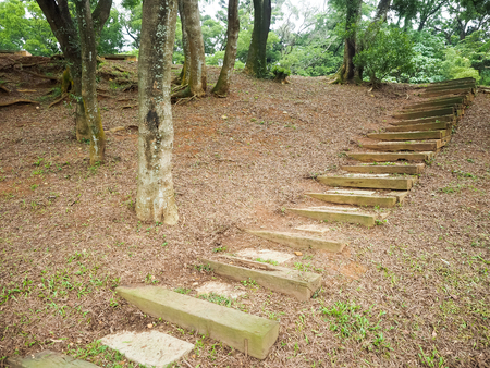 parkの写真素材