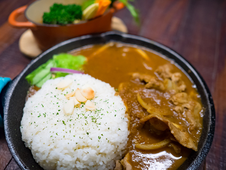 Beef curry style with riceの写真素材