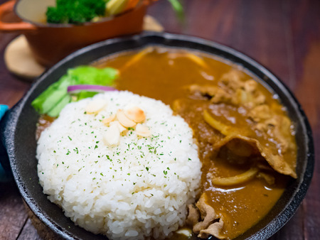 Beef curry style with riceの写真素材