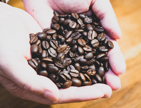 Woman's hands holding coffee beansの写真素材