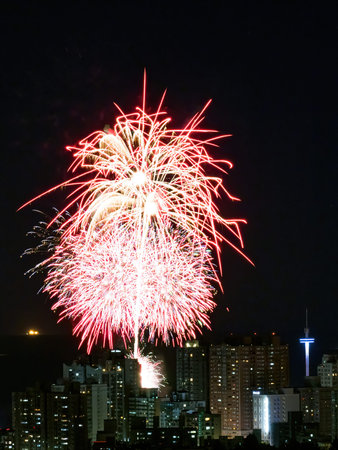 Colorful fireworks in the night sky