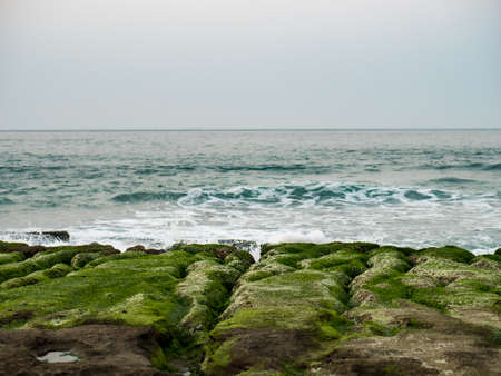 View of Laomei Green Reef (Stone troughs) at New Taipei City. Green algae on the sea groove (Sea erosion ditch) only in April and May.の写真素材