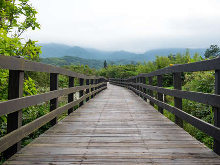Footbridge of wooden planks in wetland.の写真素材