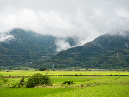 Green rice fields,white clouds, mountains in Hualien, Taiwan.の写真素材