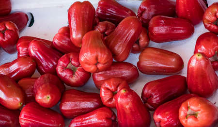rose apple in the marketの写真素材