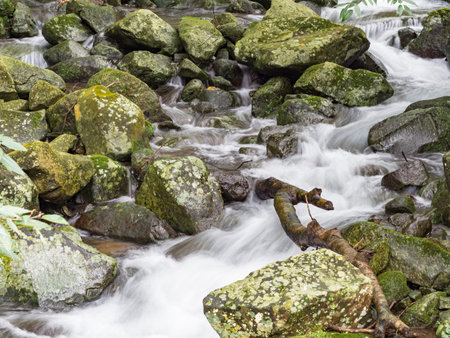Fresh water in a stream finding a way down over rocks in slow motion