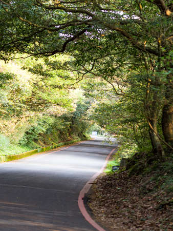 Road through beautiful green woodland in Taipei, Taiwan.の写真素材