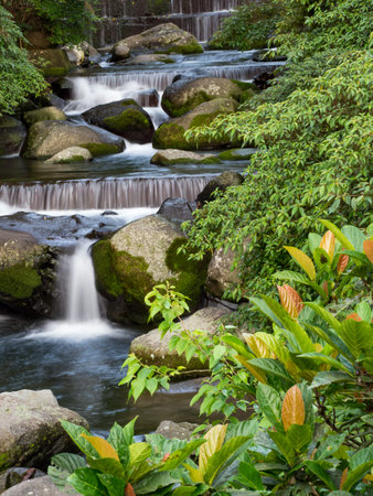 Green moss on stones on a river in the very green forrest with small waterfall.